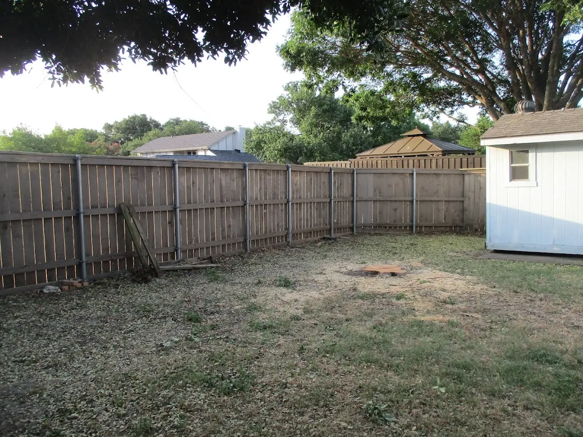 Cleared yard after professional tree removal in South Portland